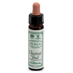 Rimedi Floreali Fiori Di Bach Ainsworth – N°7 Chestnut Bud 10ml