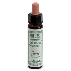 Rimedi Floreali Fiori Di Bach Ainsworth – N°13 Gorse 10ml