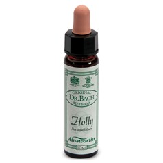 Rimedi Floreali Fiori Di Bach Ainsworth – N°15 Holly 10ml