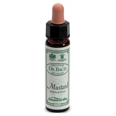 Rimedi Floreali Fiori Di Bach Ainsworth – N°21 Mustard 10ml