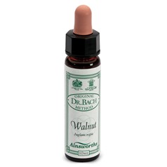 Rimedi Floreali Fiori Di Bach Ainsworth – N°33 Walnut 10ml
