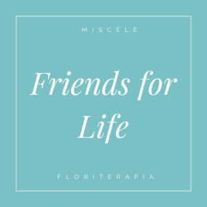 Friends for Life