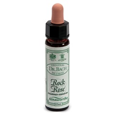 Rock rose